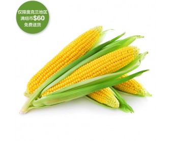 【疫情蔬果专区】新鲜甜玉米 1根【请单独下单,不要和其它专区商品混搭】 【疫情蔬果专区】新鲜甜玉米 1根【请单独下单,不要和其它专区商品混搭】